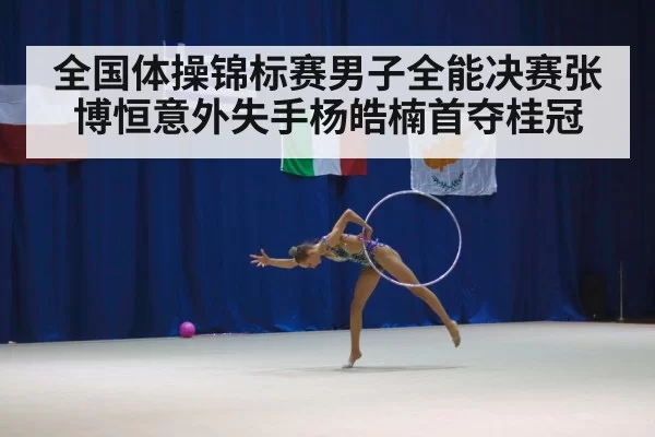 全国体操锦标赛男子全能决赛张博恒意外失手杨皓楠首夺桂冠